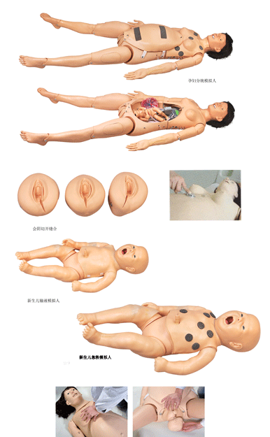 <b>高智能数字化分娩与母子急救模拟人</b>